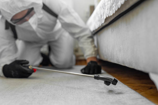 Professional Ant Control technician working in Lewisville, TX