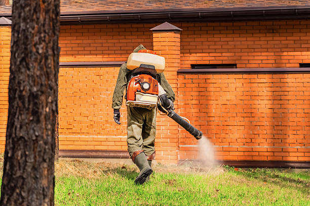 Trusted Mosquito Control service in Lewisville, TX - Nex Pest Control
